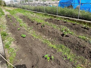 IMG_6082_R