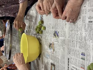 IMG_6207_R